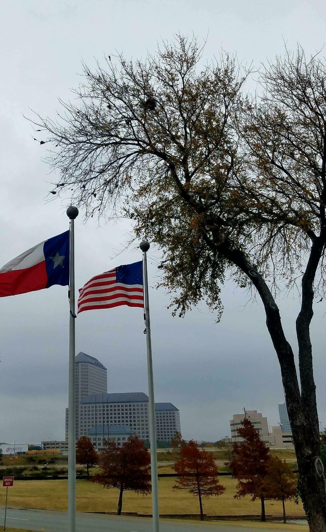 Holiday Inn Irving Las Colinas By Ihg Luaran gambar
